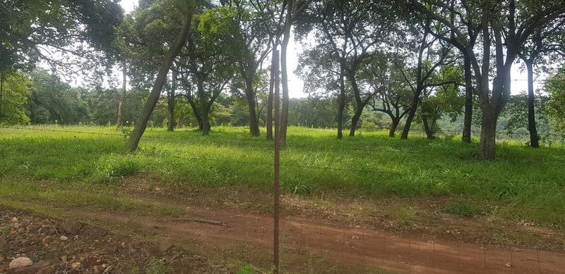 5 Bedroom Property for Sale in Tzaneen Rural Limpopo