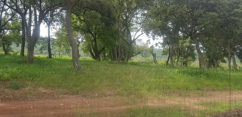 5 Bedroom Property for Sale in Tzaneen Rural Limpopo