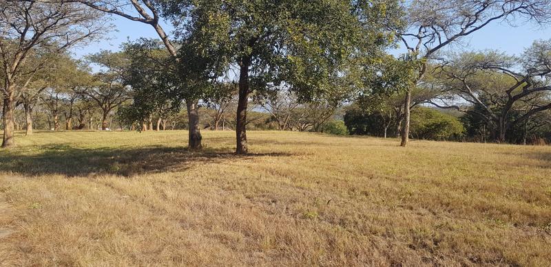 0 Bedroom Property for Sale in Tzaneen Rural Limpopo
