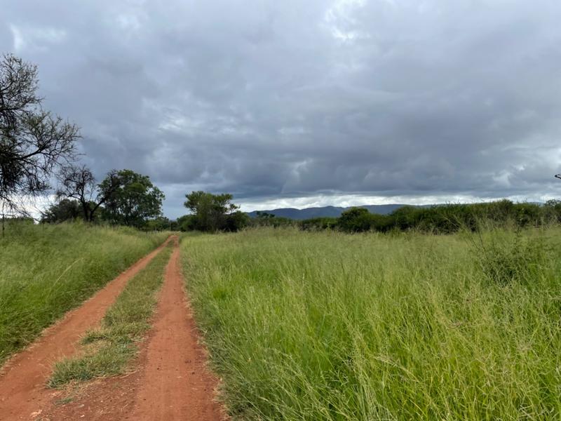 9 Bedroom Property for Sale in Mokopane Central Limpopo