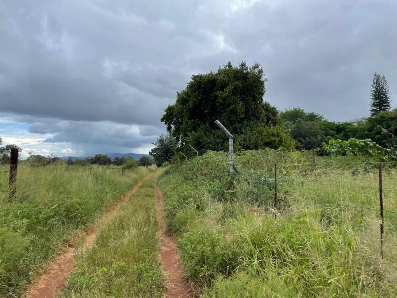 9 Bedroom Property for Sale in Mokopane Central Limpopo