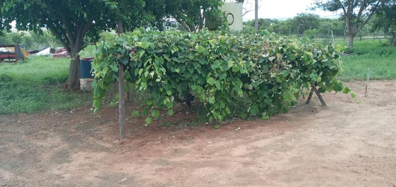 3 Bedroom Property for Sale in Leeukuil AH Limpopo