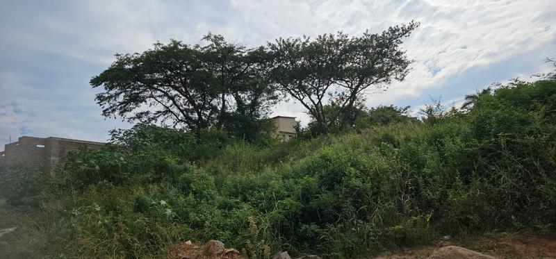 0 Bedroom Property for Sale in Thohoyandou Limpopo