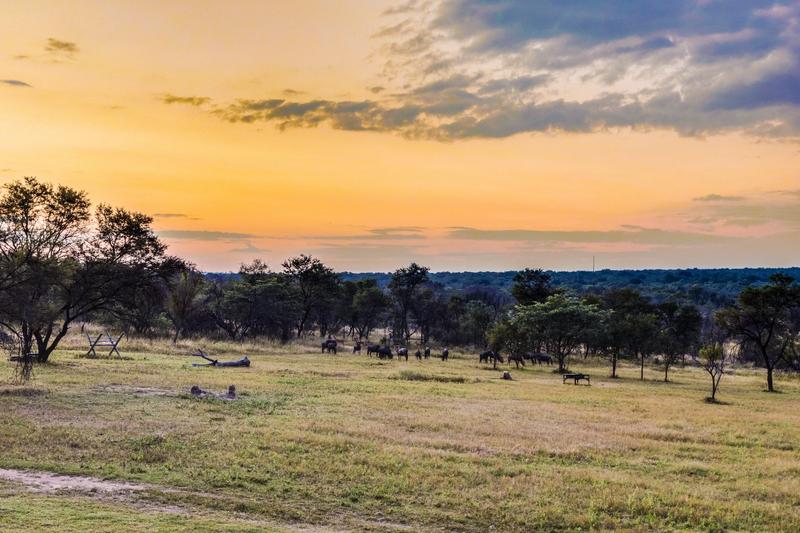0 Bedroom Property for Sale in Waterberg Limpopo