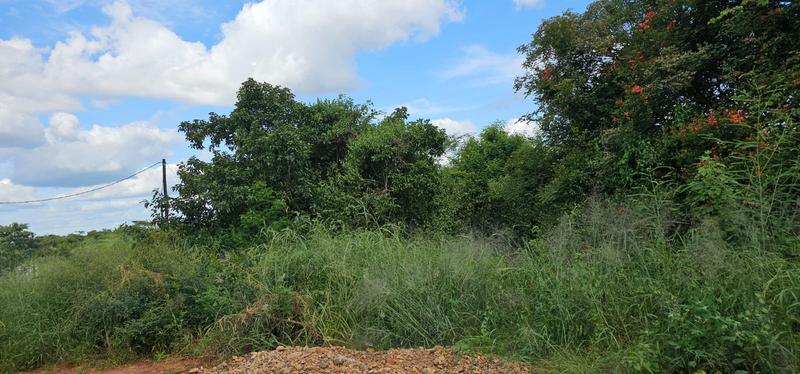 0 Bedroom Property for Sale in Thohoyandou Limpopo