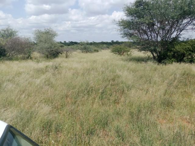 0 Bedroom Property for Sale in Louis Trichardt Limpopo