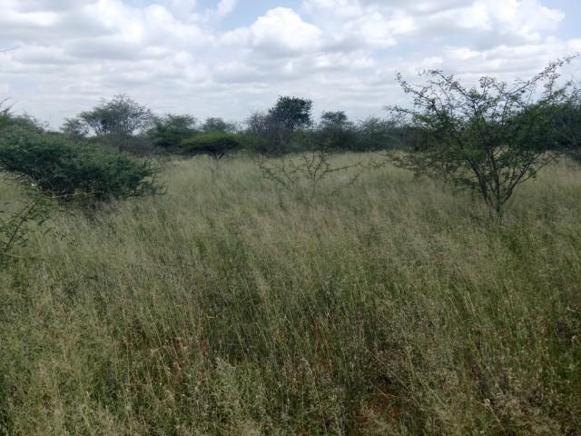 0 Bedroom Property for Sale in Louis Trichardt Limpopo