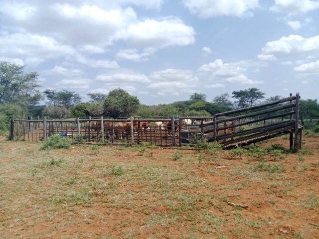 0 Bedroom Property for Sale in Louis Trichardt Limpopo