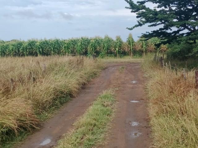 0 Bedroom Property for Sale in Louis Trichardt Limpopo