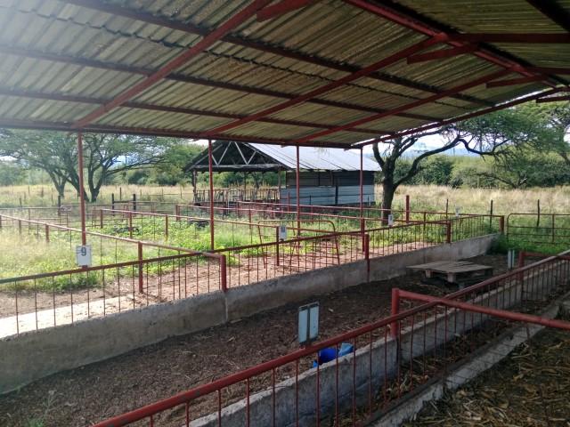 0 Bedroom Property for Sale in Louis Trichardt Limpopo