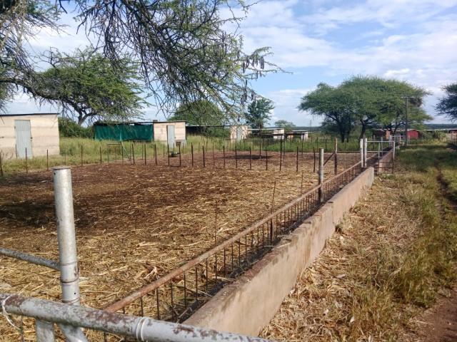 0 Bedroom Property for Sale in Louis Trichardt Limpopo