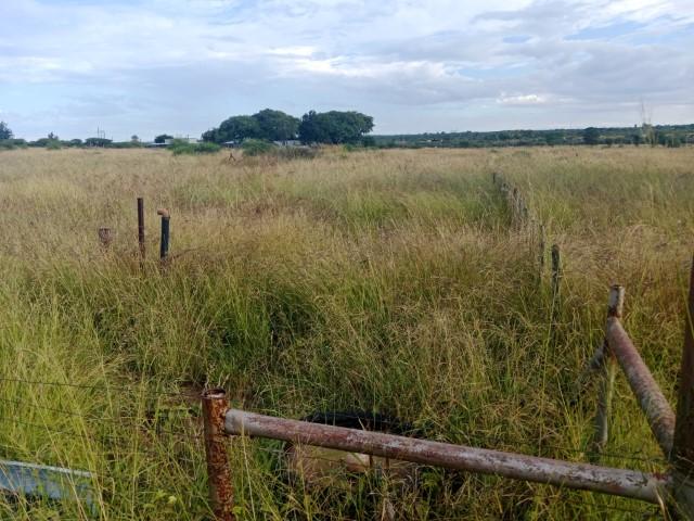 0 Bedroom Property for Sale in Louis Trichardt Limpopo