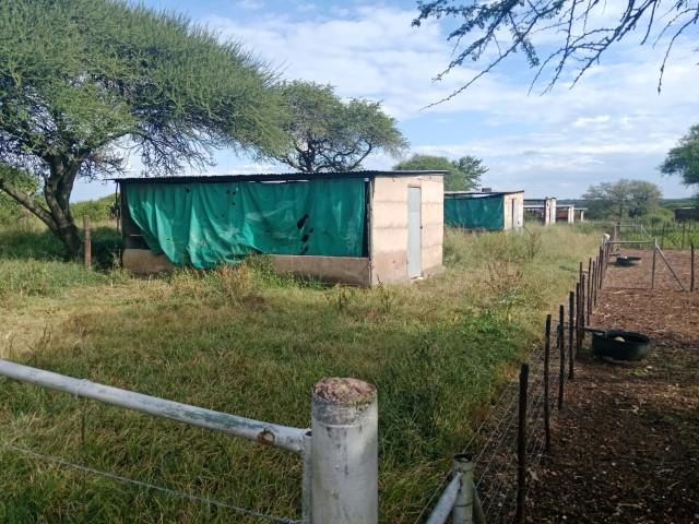 0 Bedroom Property for Sale in Louis Trichardt Limpopo