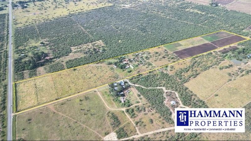 0 Bedroom Property for Sale in Louis Trichardt Limpopo