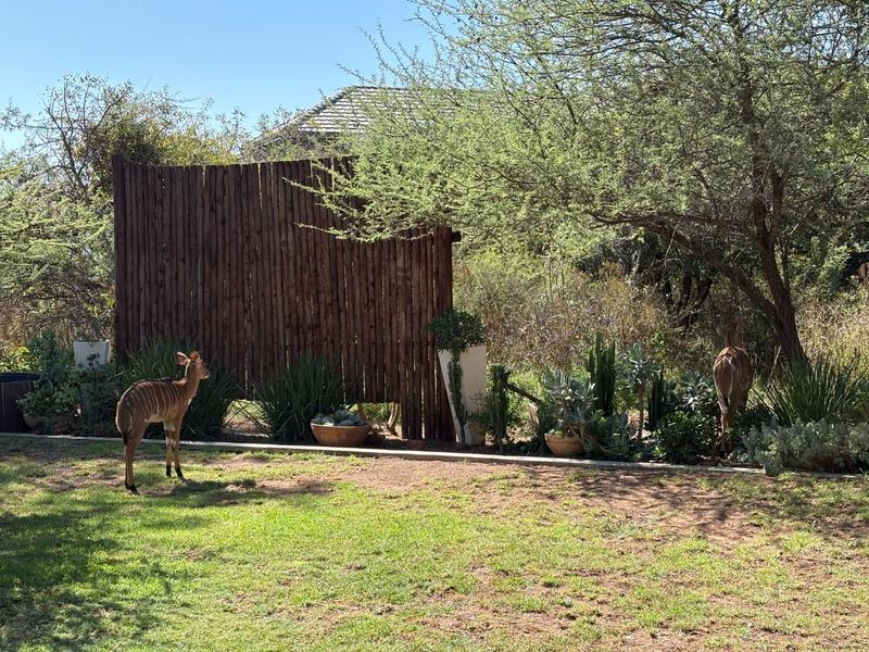 3 Bedroom Property for Sale in Celtic Lodge Eco Estate Limpopo