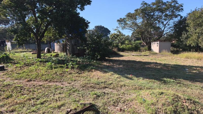 0 Bedroom Property for Sale in Louis Trichardt Limpopo