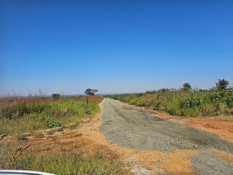 0 Bedroom Property for Sale in Louis Trichardt Limpopo