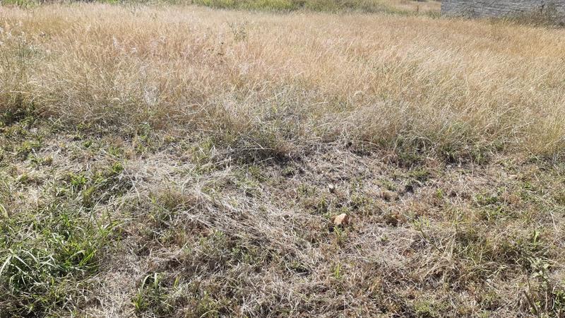0 Bedroom Property for Sale in Eagles Crest Limpopo