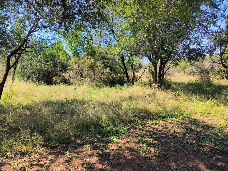 3 Bedroom Property for Sale in Thabazimbi Limpopo