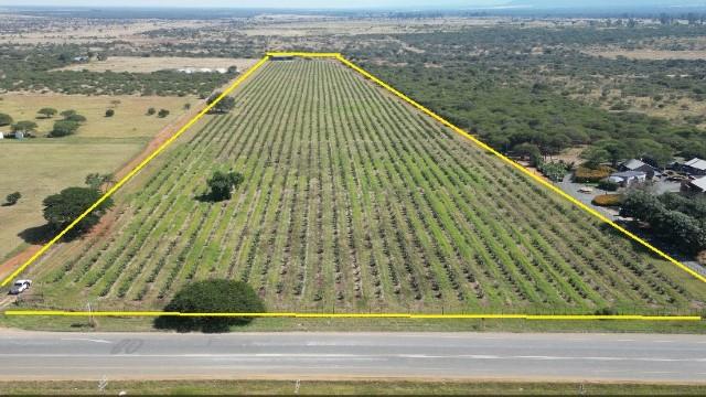 0 Bedroom Property for Sale in Louis Trichardt Limpopo