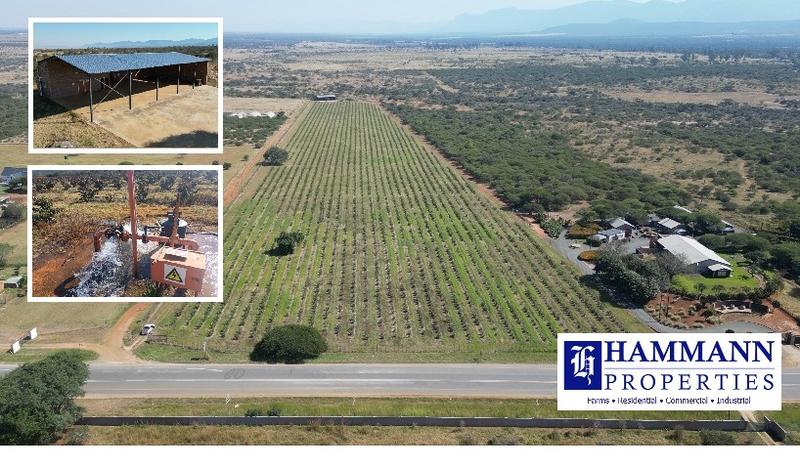 0 Bedroom Property for Sale in Louis Trichardt Limpopo
