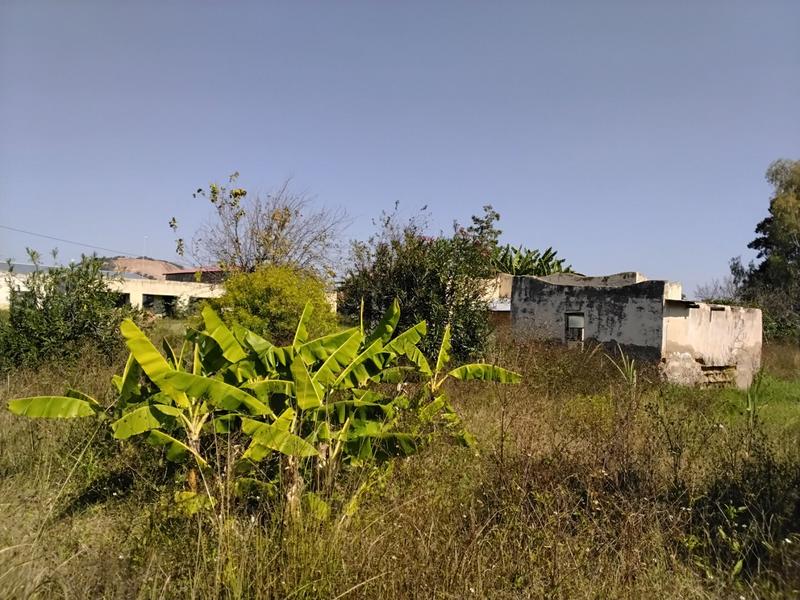 6 Bedroom Property for Sale in Mankweng Limpopo