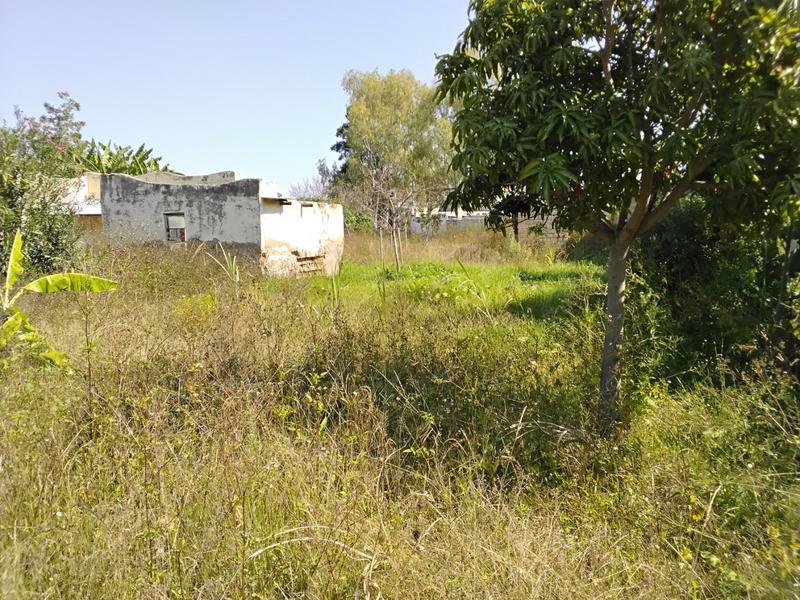 6 Bedroom Property for Sale in Mankweng Limpopo