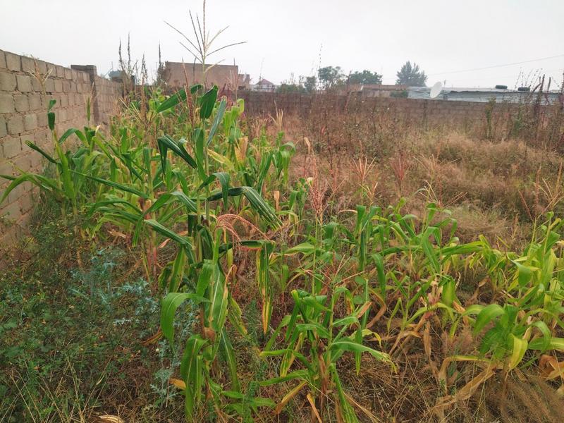 4 Bedroom Property for Sale in Mankweng Limpopo