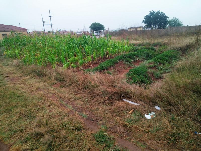 4 Bedroom Property for Sale in Mankweng Limpopo