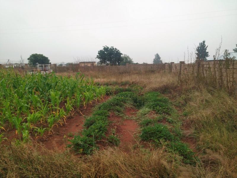 4 Bedroom Property for Sale in Mankweng Limpopo
