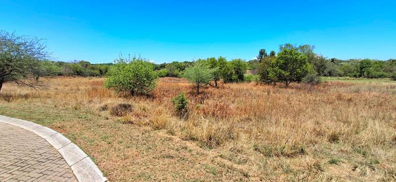 0 Bedroom Property for Sale in Koro Creek Golf Estate Limpopo