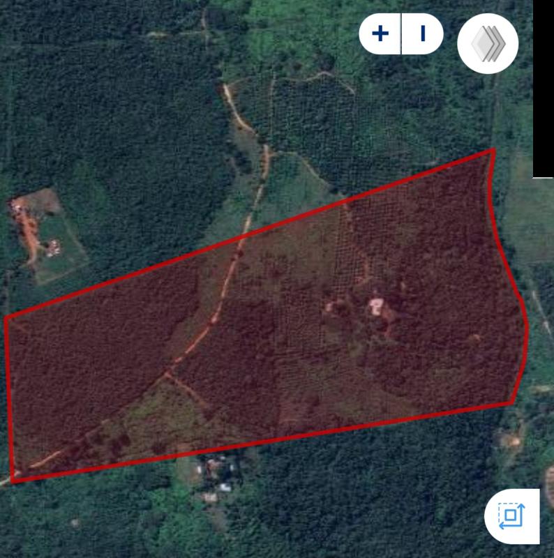 4 Bedroom Property for Sale in Tzaneen Rural Limpopo