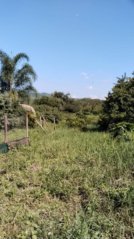 4 Bedroom Property for Sale in Tzaneen Rural Limpopo