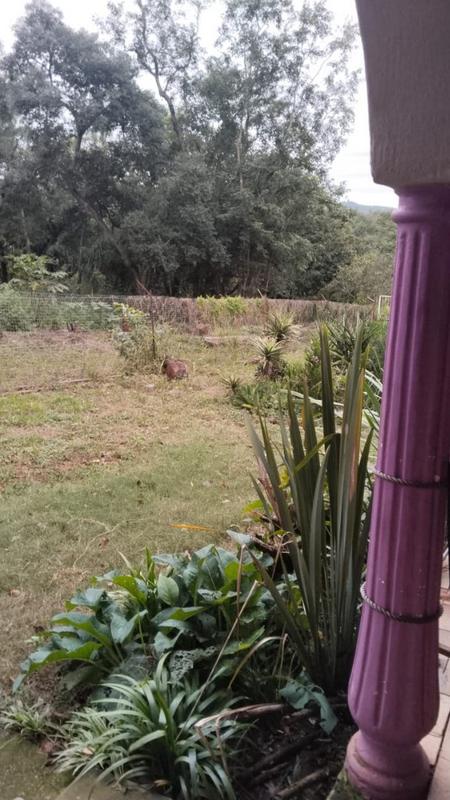 4 Bedroom Property for Sale in Tzaneen Rural Limpopo