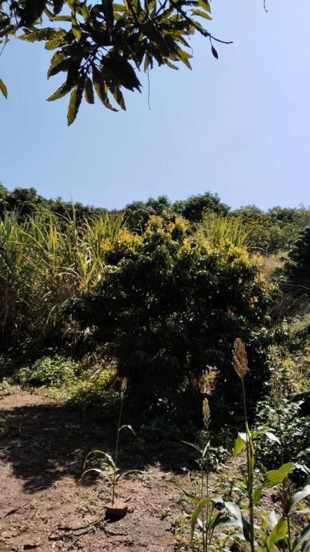 4 Bedroom Property for Sale in Tzaneen Rural Limpopo