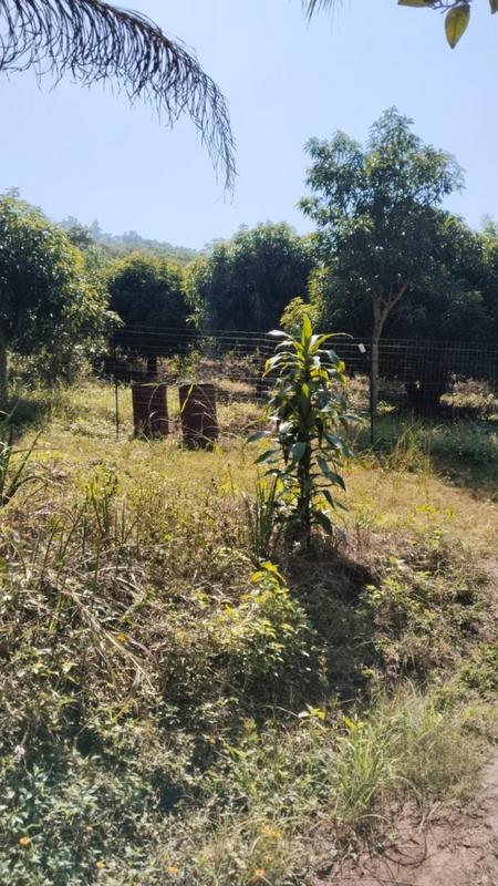 4 Bedroom Property for Sale in Tzaneen Rural Limpopo