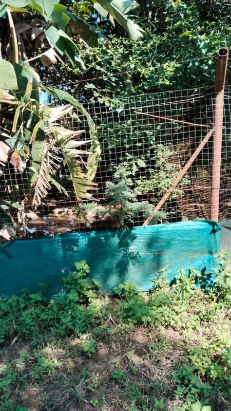 4 Bedroom Property for Sale in Tzaneen Rural Limpopo