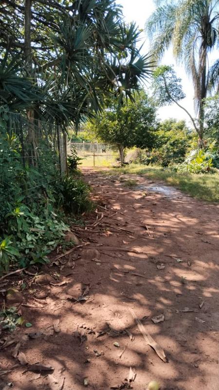 4 Bedroom Property for Sale in Tzaneen Rural Limpopo