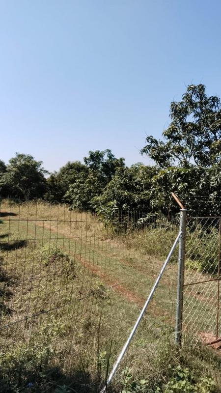 4 Bedroom Property for Sale in Tzaneen Rural Limpopo