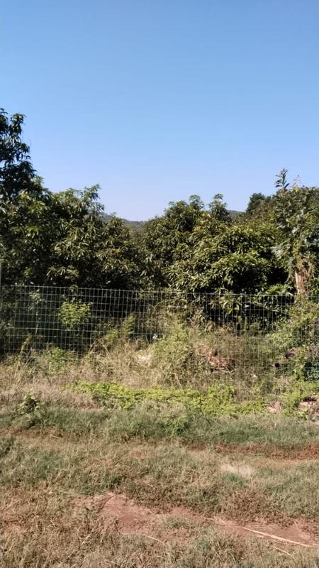 4 Bedroom Property for Sale in Tzaneen Rural Limpopo