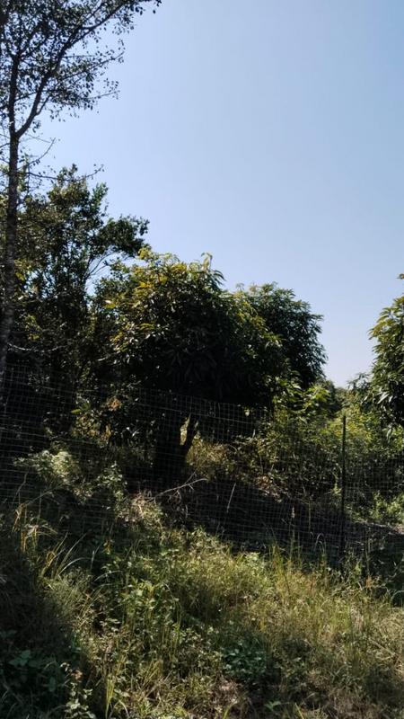 4 Bedroom Property for Sale in Tzaneen Rural Limpopo