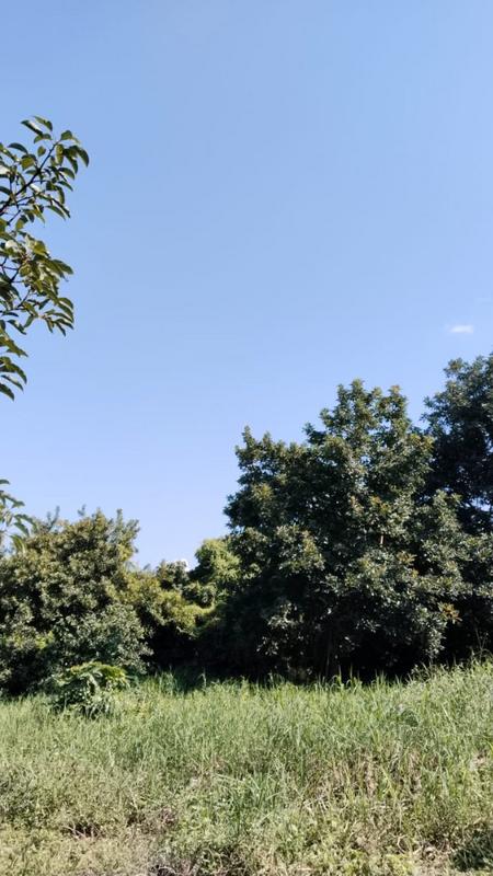 4 Bedroom Property for Sale in Tzaneen Rural Limpopo