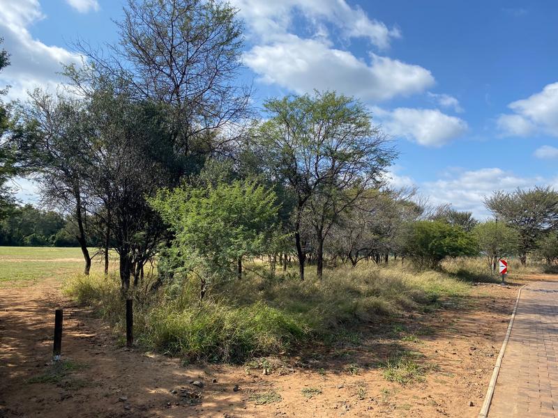 0 Bedroom Property for Sale in Chroompark Limpopo