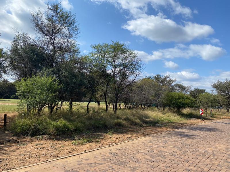 0 Bedroom Property for Sale in Chroompark Limpopo