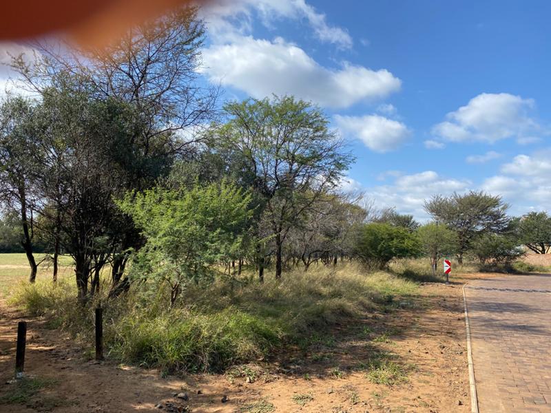 0 Bedroom Property for Sale in Chroompark Limpopo