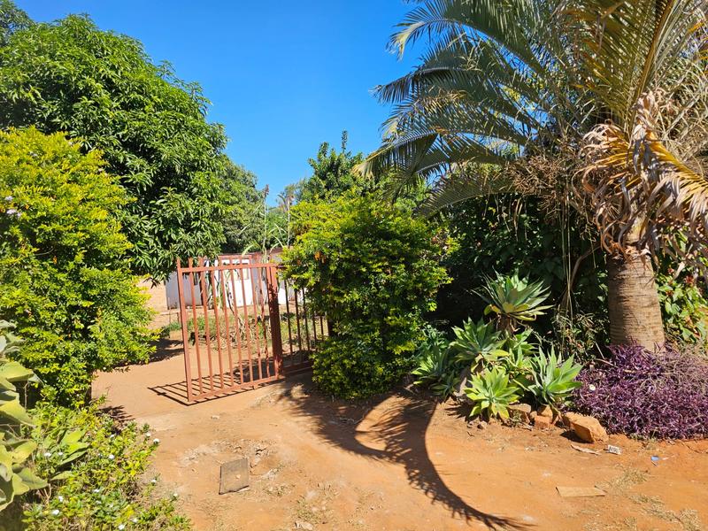 3 Bedroom Property for Sale in Shayandima Limpopo