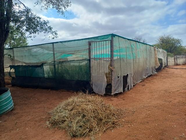 0 Bedroom Property for Sale in Musina Limpopo