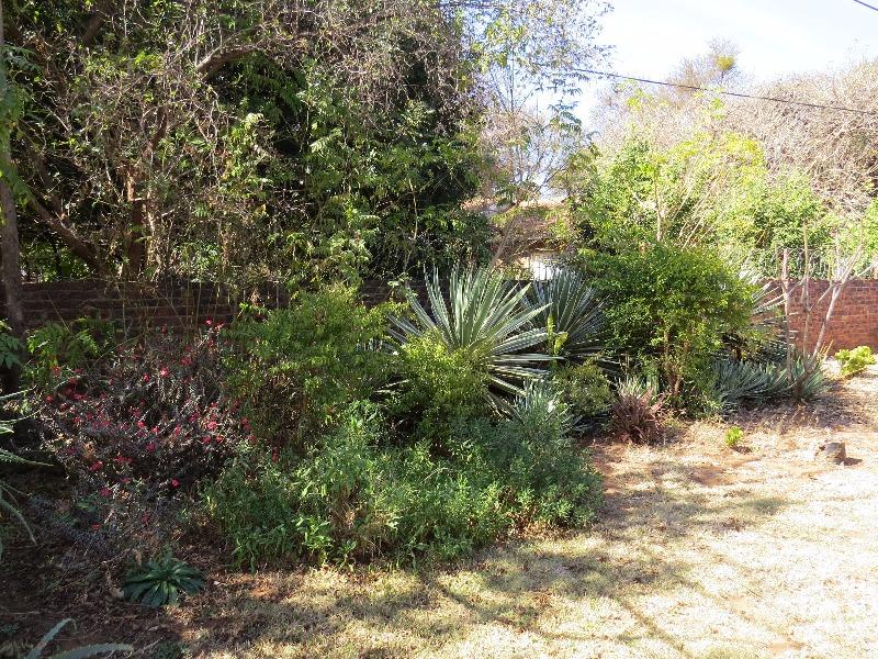 To Let 3 Bedroom Property for Rent in Chroompark Limpopo
