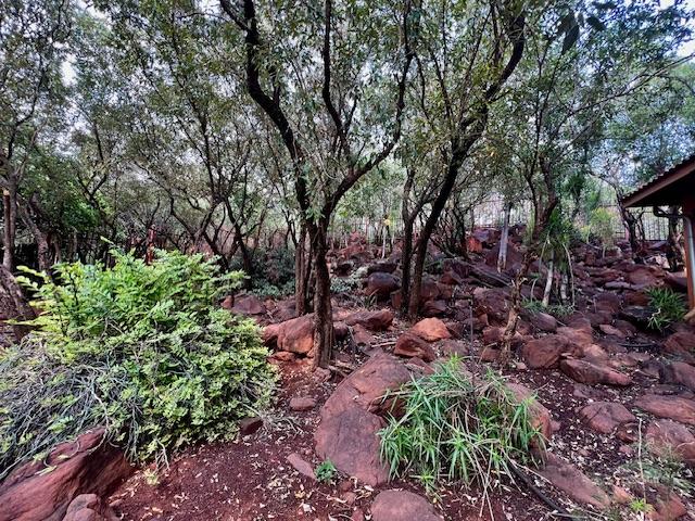 3 Bedroom Property for Sale in Thabazimbi Limpopo