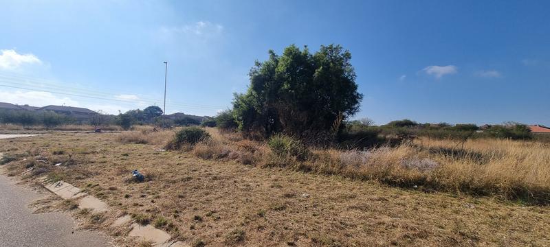0 Bedroom Property for Sale in Bendor Limpopo
